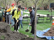 student adding soil to Arbor Day 2015 tree