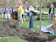 student adding soil to Arbor Day 2015 tree