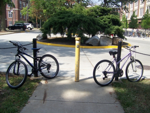 Bicycles locked to the chains near the sidewalk