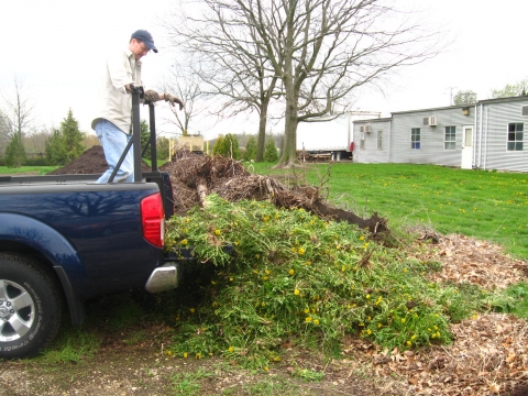 Weeding at Florida and Orchard Prairie.