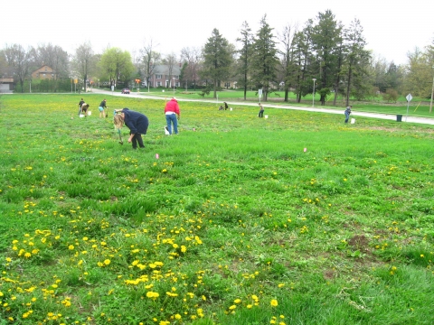 Weeding at Florida and Orchard Prairie.