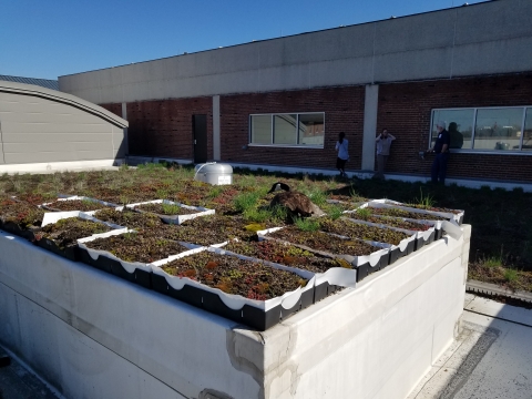 Extra trays that have been placed on the raised section of the roof. 