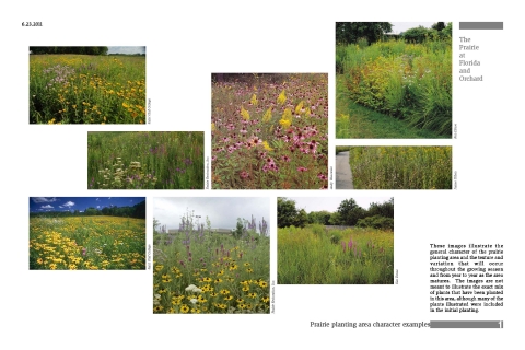 Prairie examples for the Prairie at Orchard and Florida