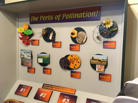 Perils of Pollinations board game