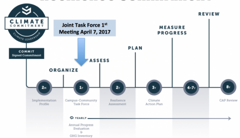 Climate Resilience Task Force timeline chart