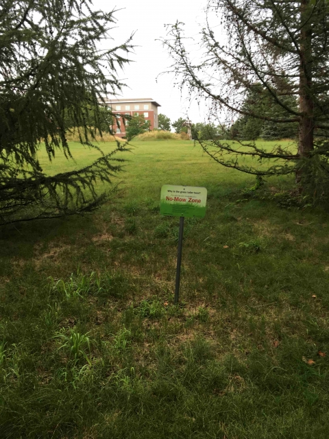 older low mow zone sign in a recently mowed zone