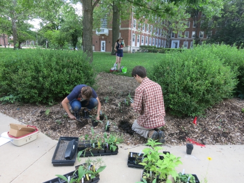 Planting at LAR