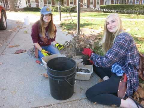 Planting of LAR Native plants