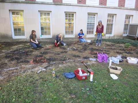 Volunteers planting at LAR