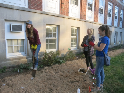 Volunteers ploughing the ground for planting at LAR