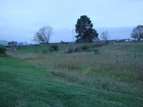 Site for the Rain Garden at Vet Med