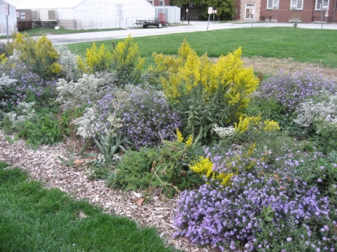 NRB Plot- October 2012